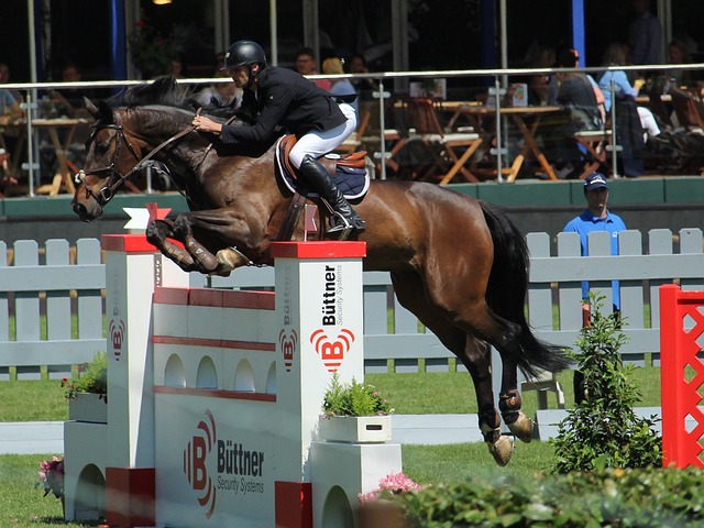 让我们一探 让我们一探