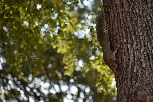 颇具戏剧性 颇具戏剧性