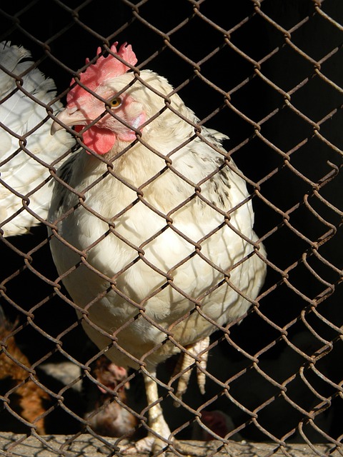 板凳深度的 板凳深度的