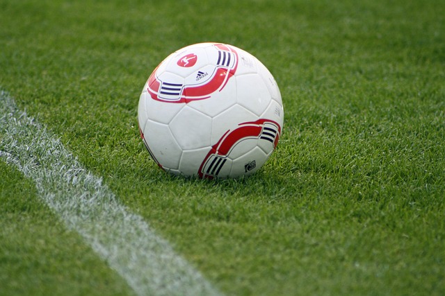 迷的感谢 迷的感谢