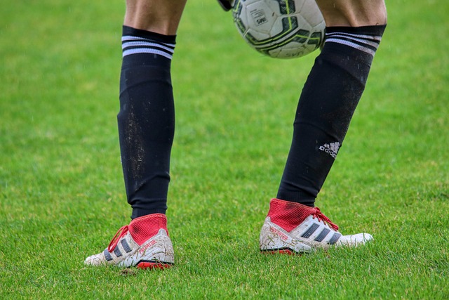 场边展开了 场边展开了