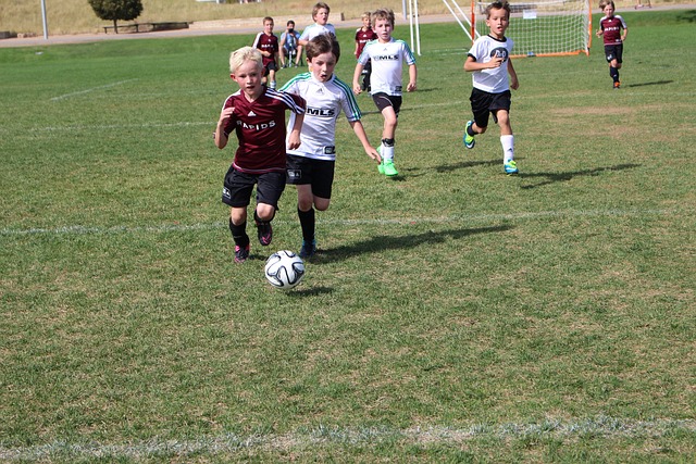 综合以上分 综合以上分