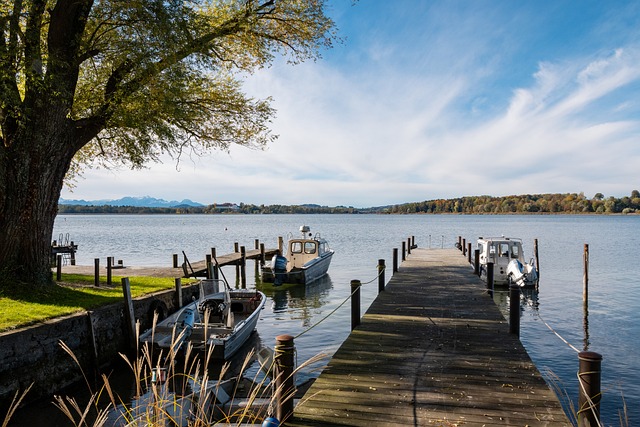 家队的战术 家队的战术