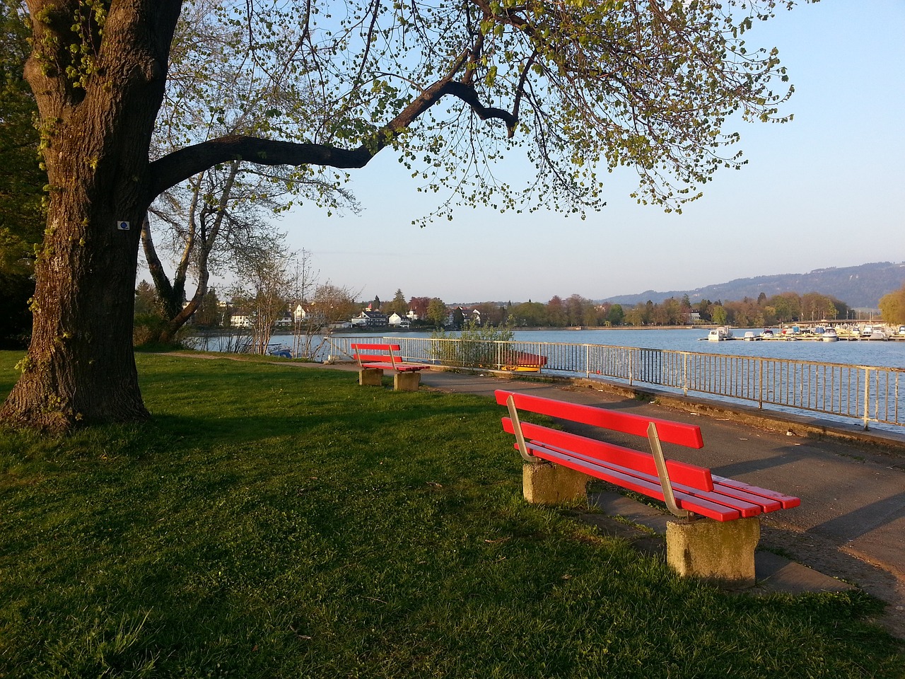 社区的互动 社区的互动