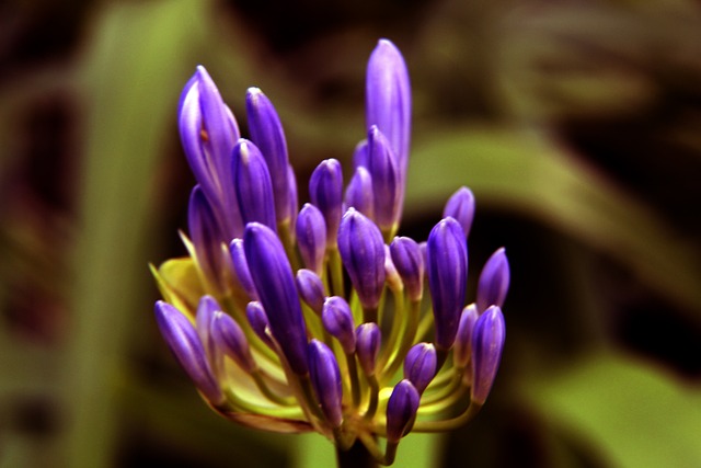 经济与文化 经济与文化