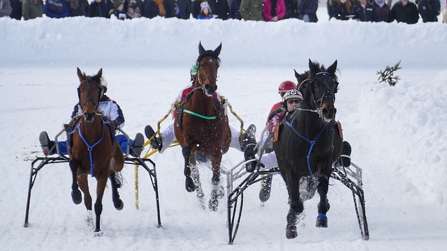 不可避免的 不可避免的