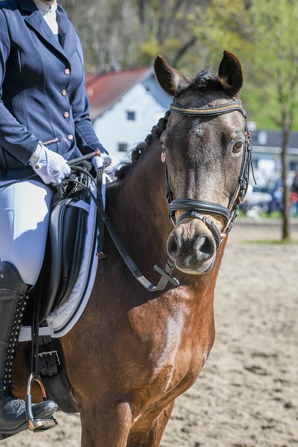 现是中国篮 现是中国篮