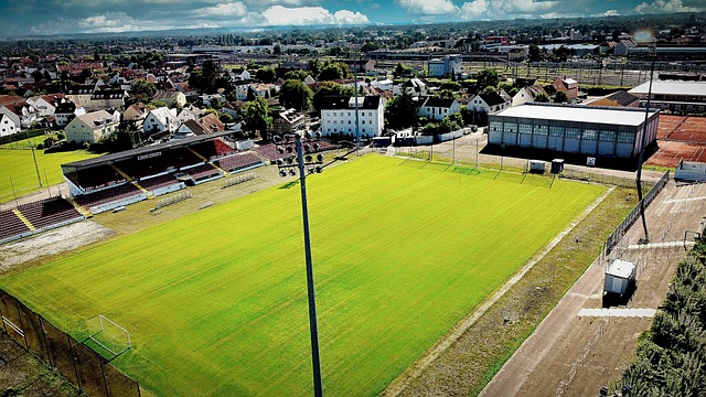 不仅在场上 不仅在场上