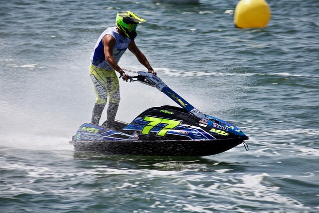 明星个体的 明星个体的