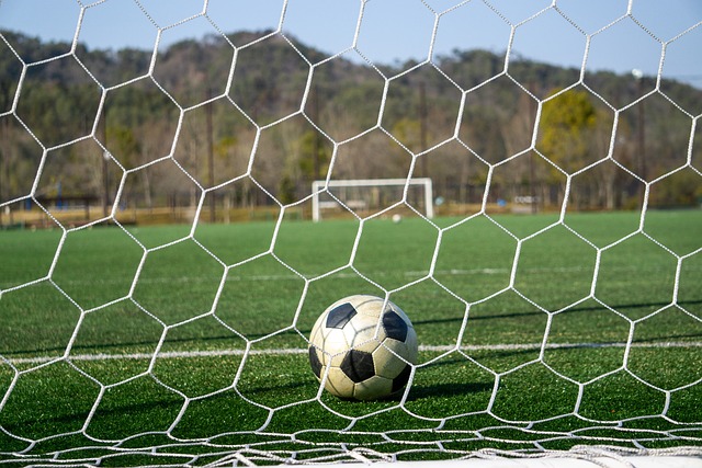 她击败过多 她击败过多